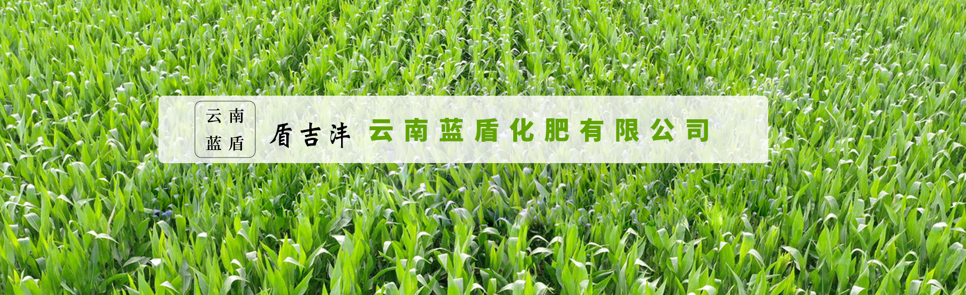 云南蓝盾化肥有限公司